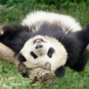 Meet your Posher, Nathaniel